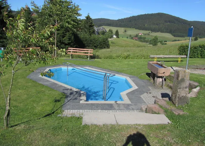 Zur Traube Schwarzwaldhotel & Restaurant Am Titisee