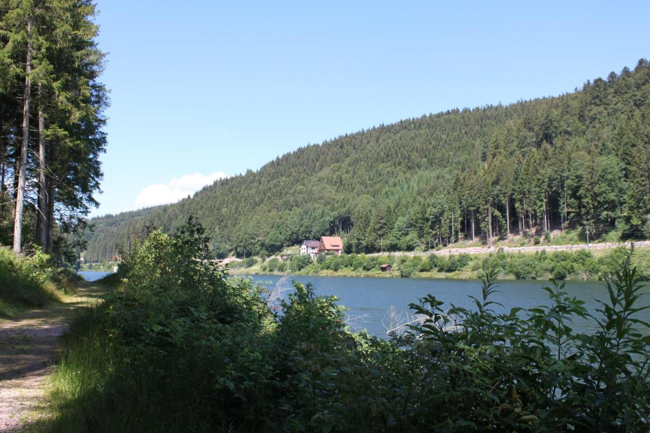 Hotel Zur Traube Schwarzwaldhotel & Restaurant Am Titisee