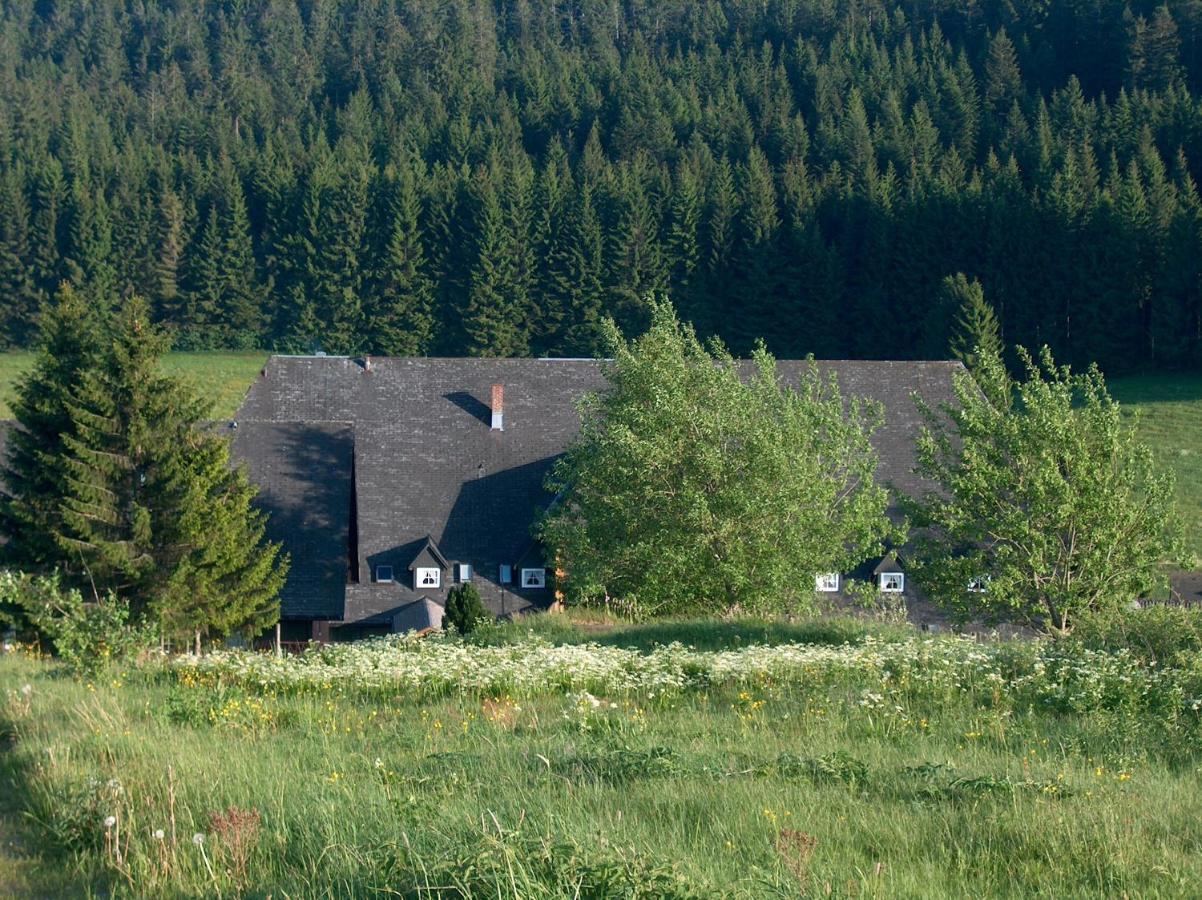 Zur Traube Schwarzwaldhotel & Restaurant Am Titisee Hotel Sankt Märgen