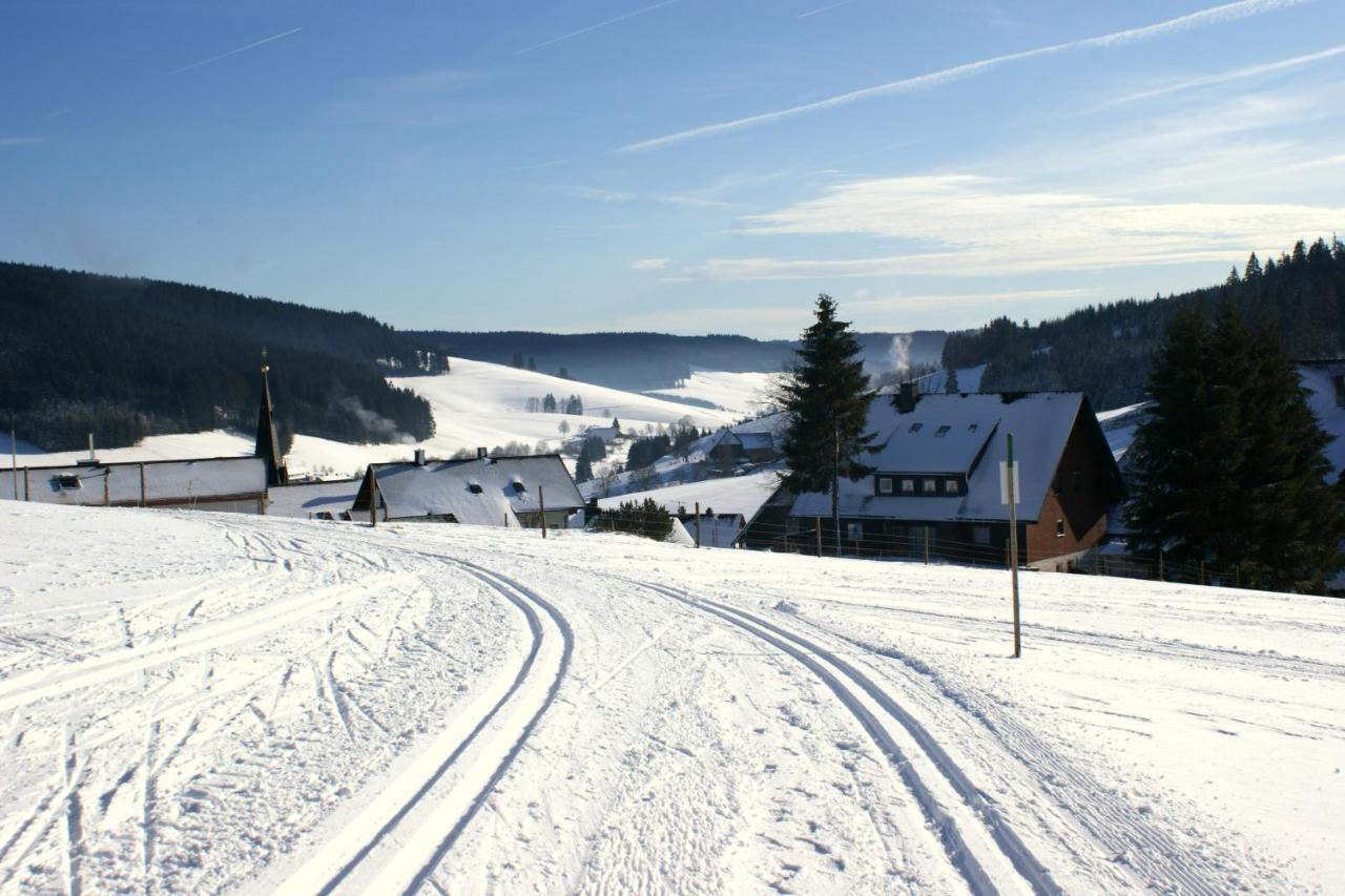 Zur Traube Schwarzwaldhotel & Restaurant Am Titisee