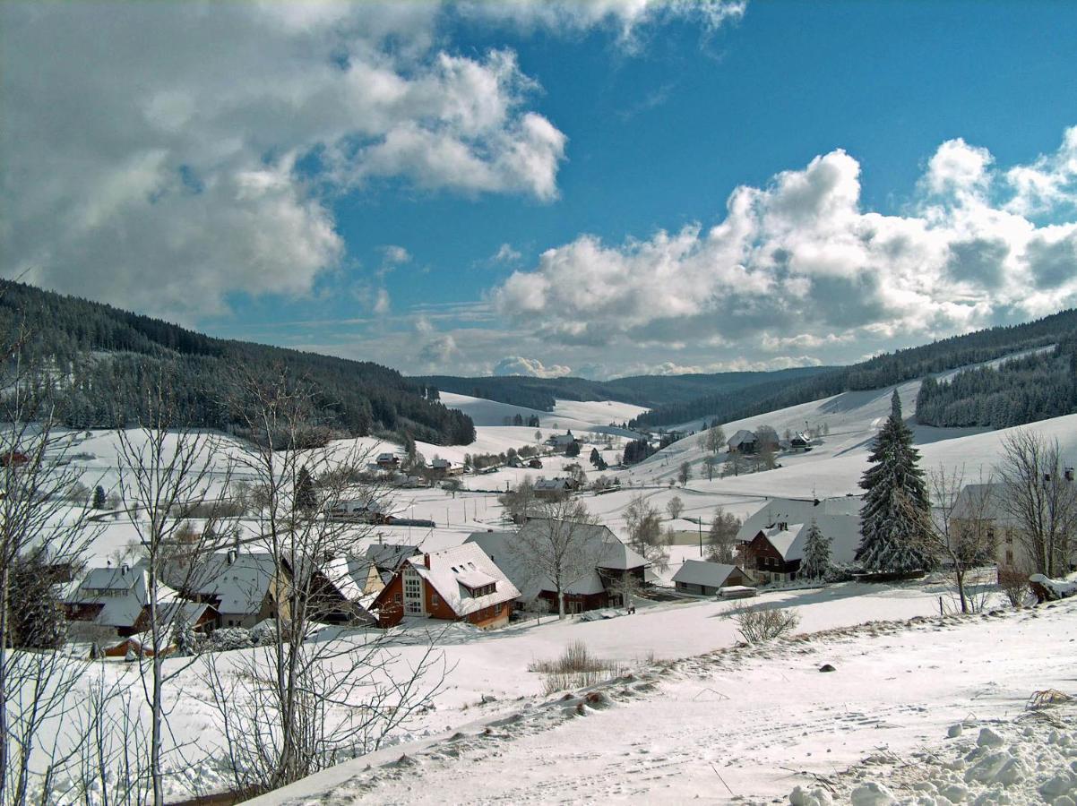Zur Traube Schwarzwaldhotel & Restaurant Am Titisee Hotel 3*