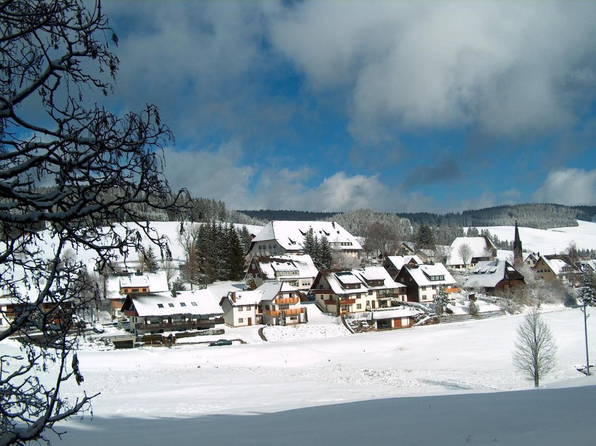 Zur Traube Schwarzwaldhotel & Restaurant Am Titisee Hotel Sankt Märgen