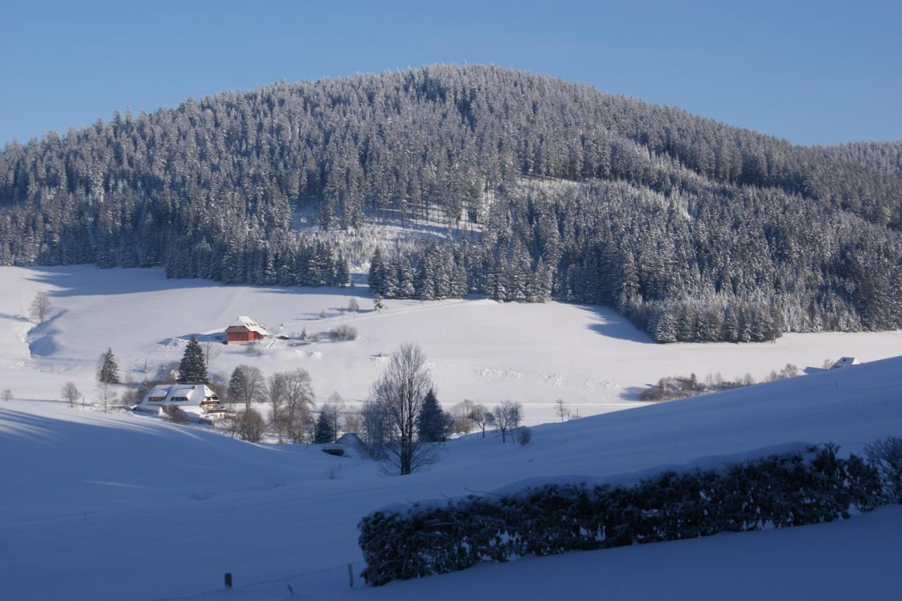 Zur Traube Schwarzwaldhotel & Restaurant Am Titisee