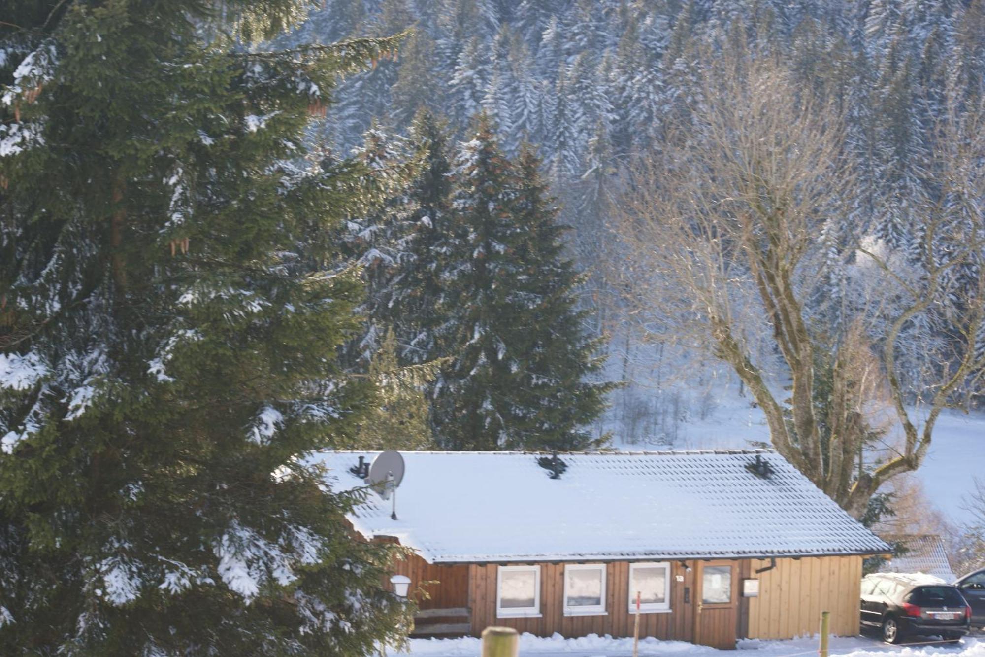 Hotel Zur Traube Schwarzwaldhotel & Restaurant Am Titisee